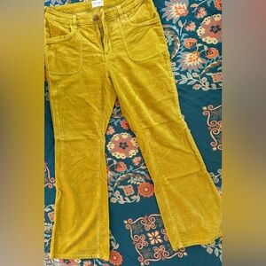 Pilcro Yellow Corduroy Boot Cut Pants